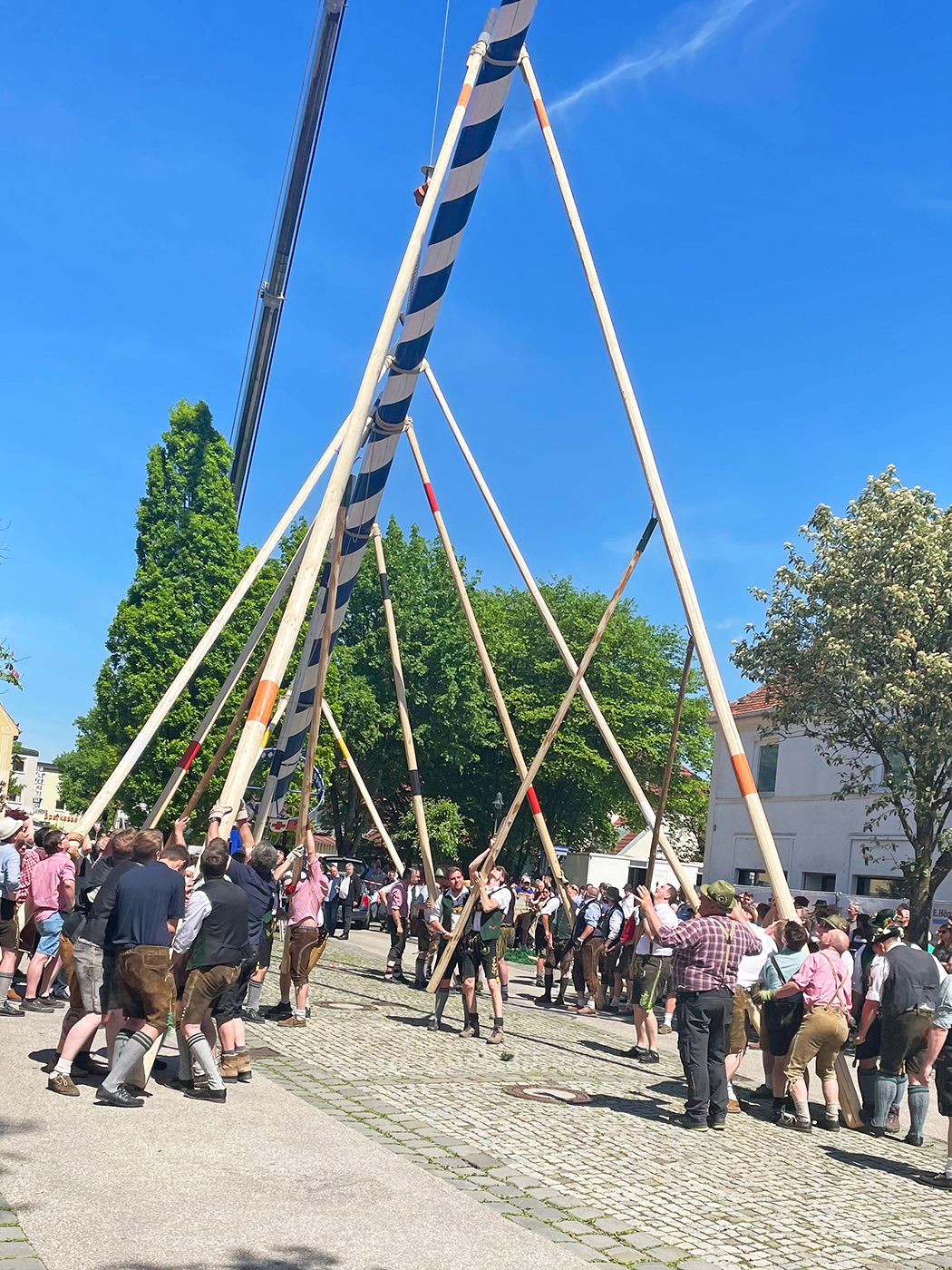 Maibaum Kirchseeon IMG 