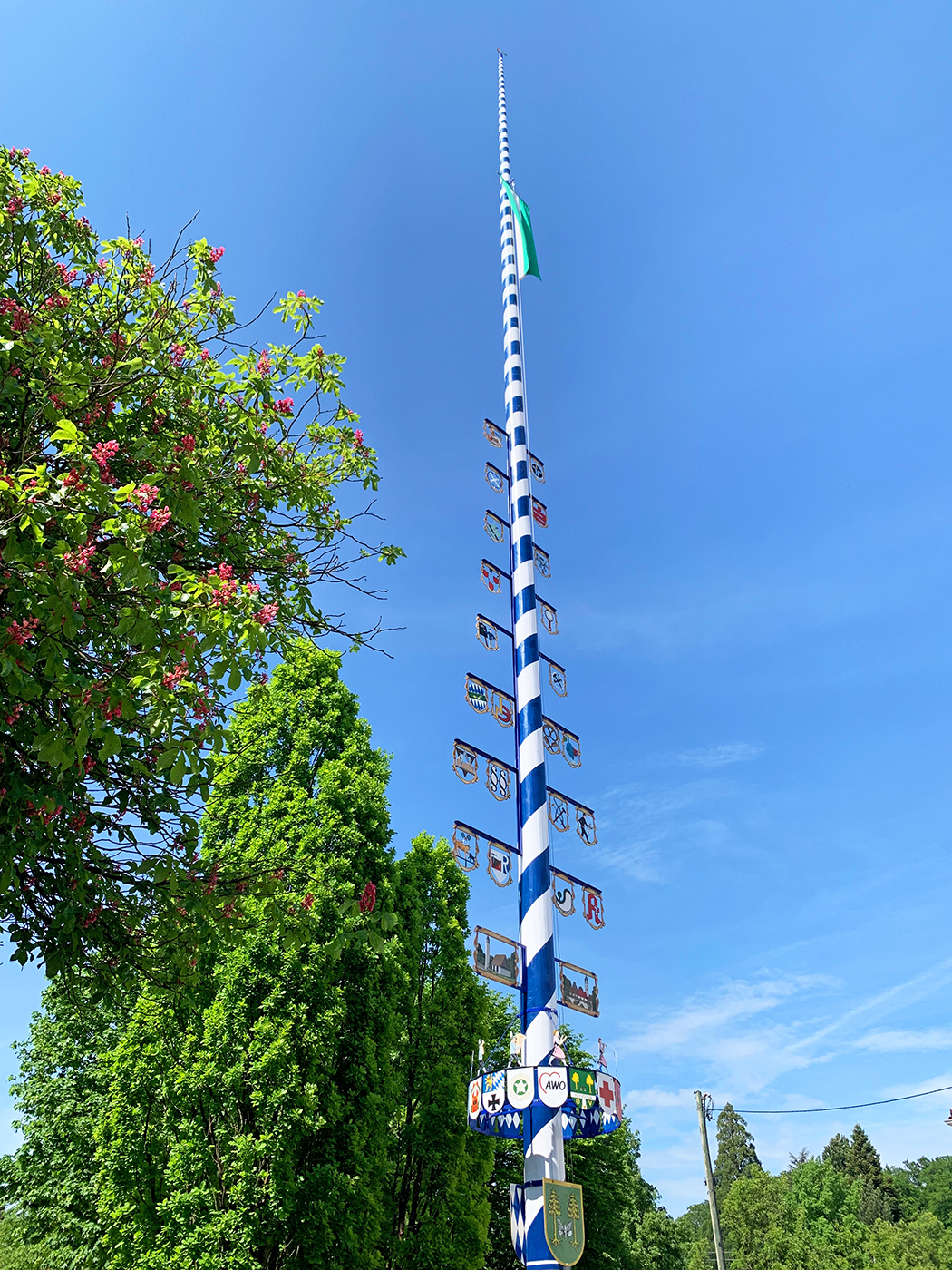 Maibaum Kirchseeon IMG 