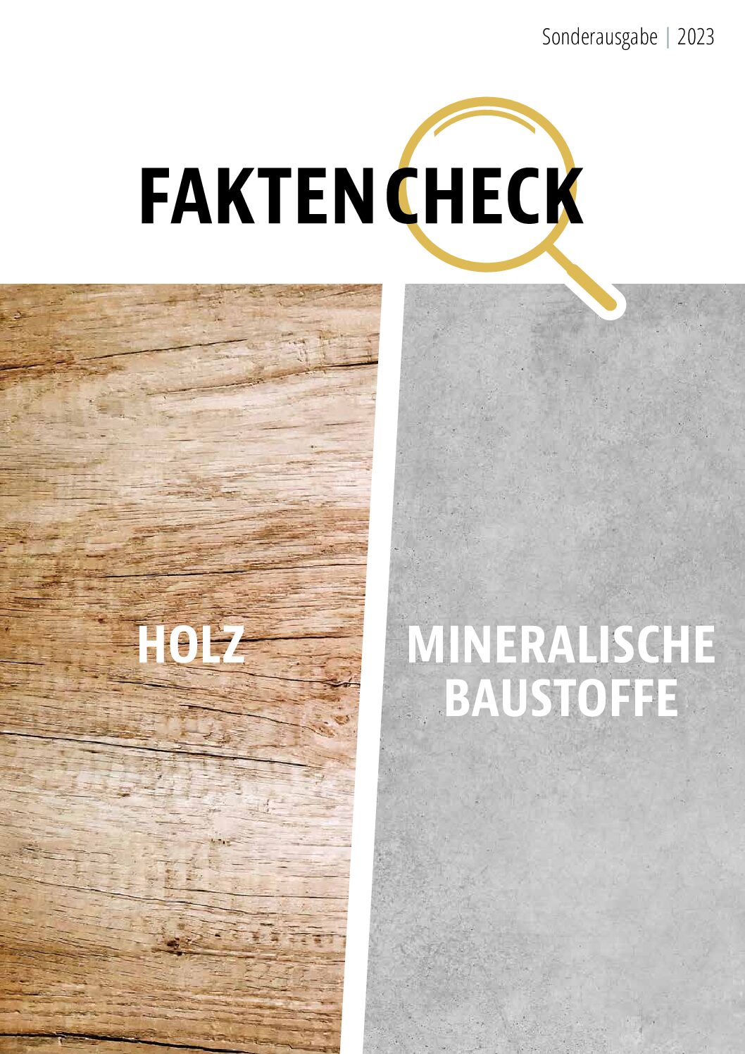 faktencheck holz vs mineralische baustoffe   pdf 