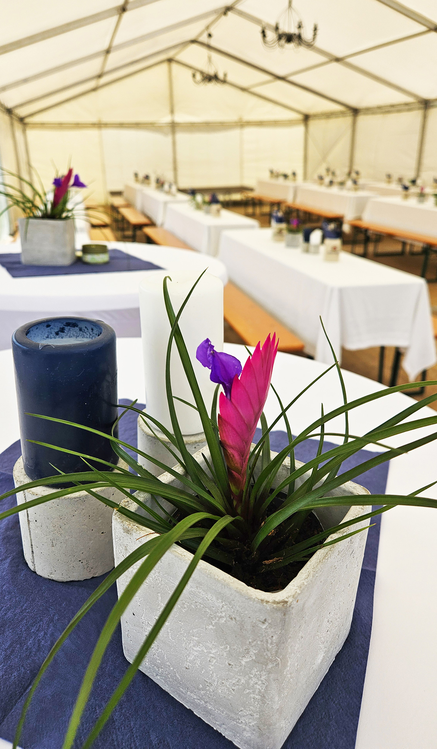 sommerfest   